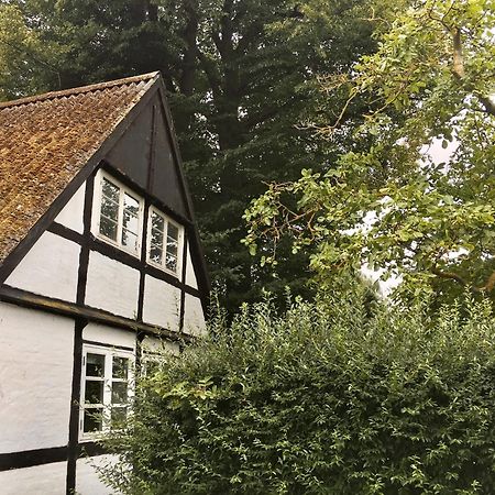 Hvidegaard Mon Hotel Stege Exterior foto